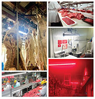 Applications - Linear Wash Down Light Emitting Diode (LED) Luminaire Lights for Task Lighting in Food Processing